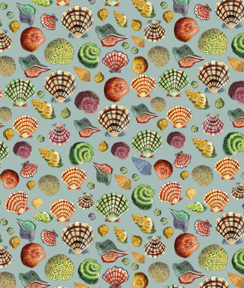 Seashell Gift Wrapping Sheet Bundle