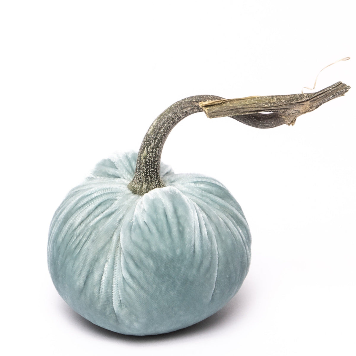 Seafoam Silk Velvet Pumpkin