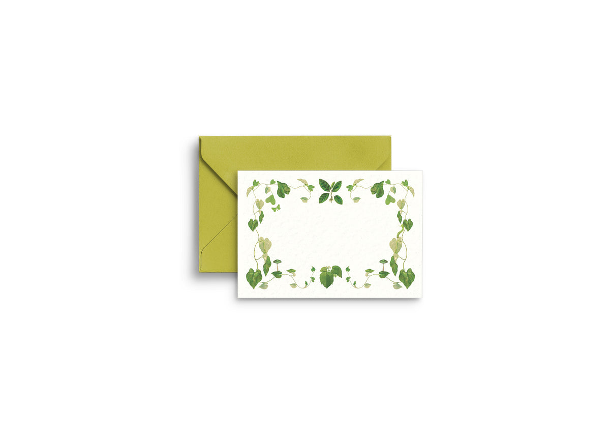 Selva Gift Enclosure Cards