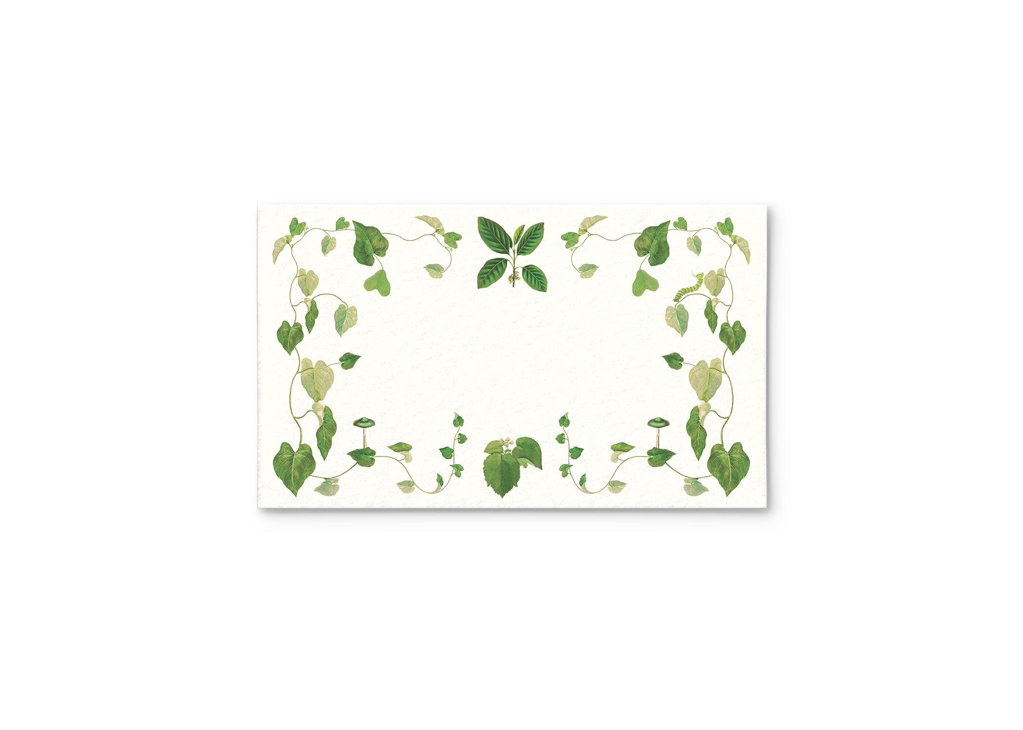 Selva Place Cards