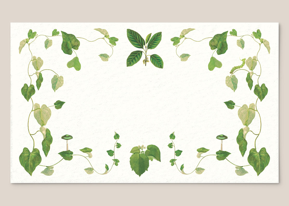 Selva Place Cards