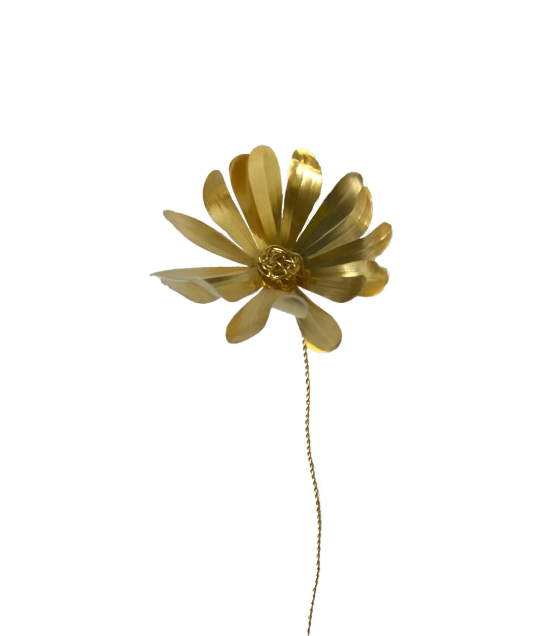 Aster Brass Flower