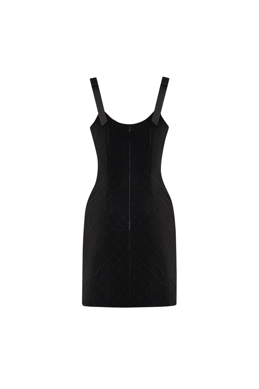 The Serena Mini Dress