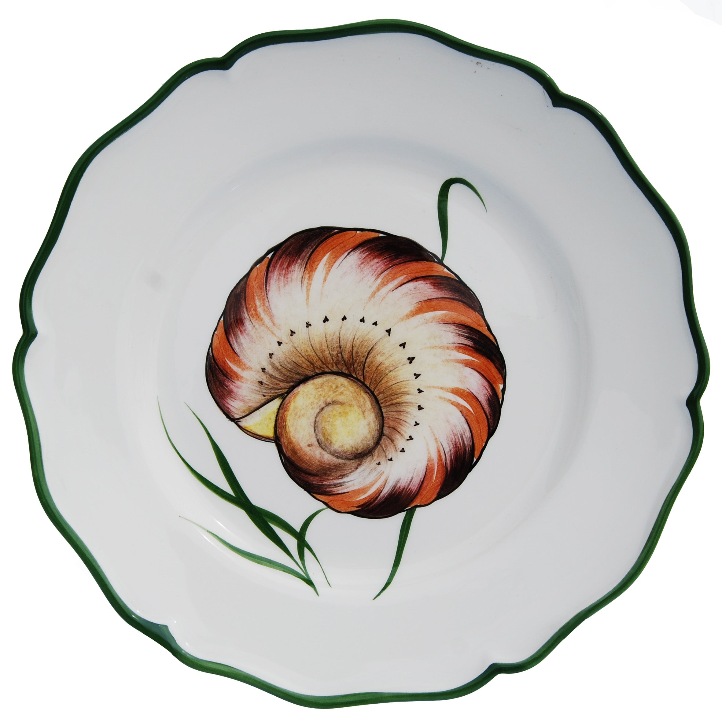 Shells Dinner Plate in Multi, Set of 4