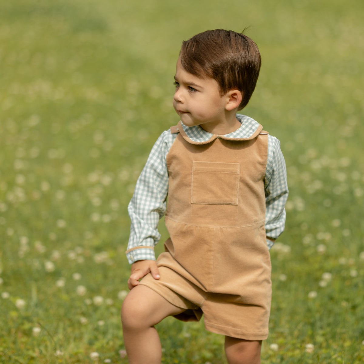 Long Sleeve Henry Peter Pan in Charleston Check