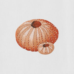 Urchin Blush Towel Hand Towel