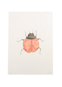 Limited Edition Ladybird Print