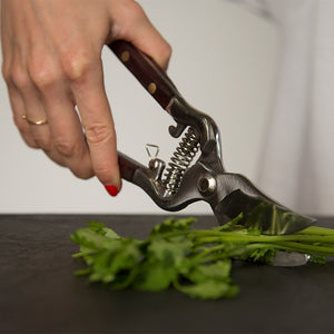 Thai Kitchen and Garden Shears