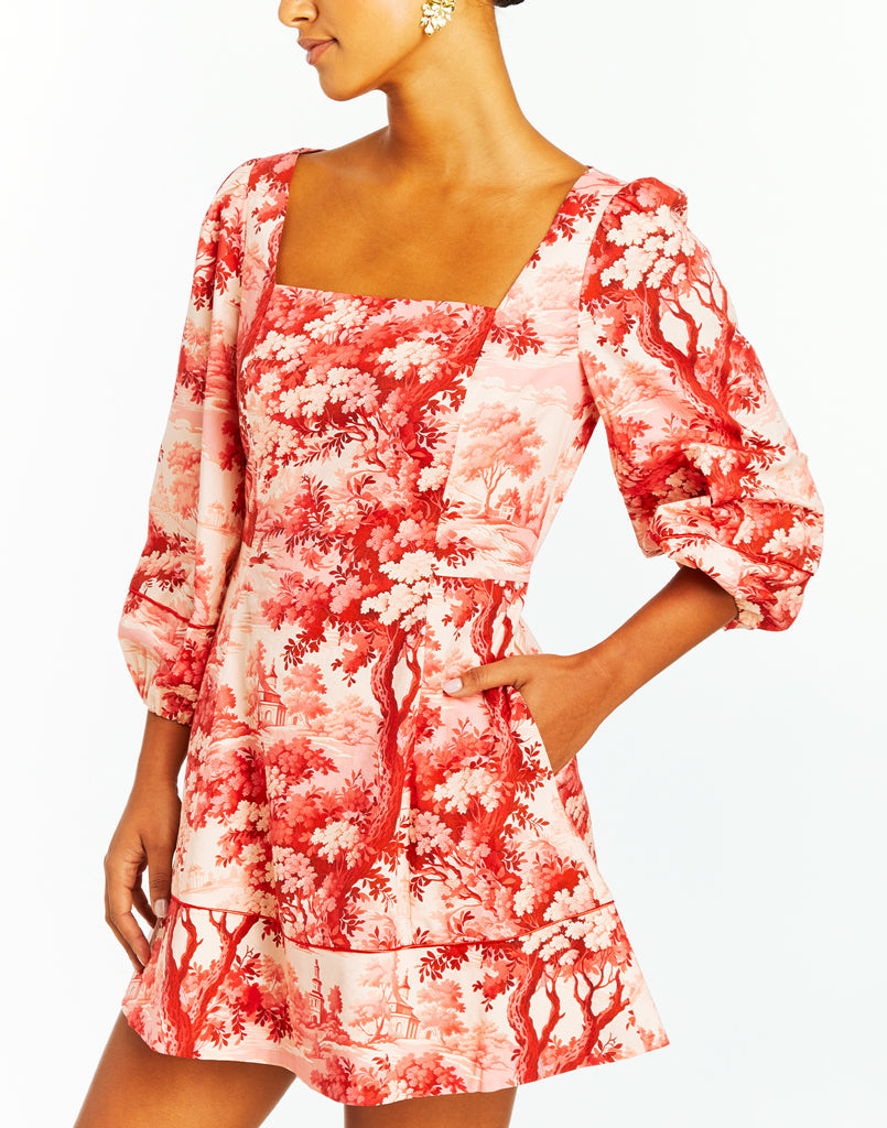 Valeria Mini Dress in Red/Pink French Toile