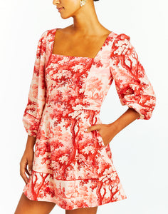 Valeria Mini Dress in Red/Pink French Toile