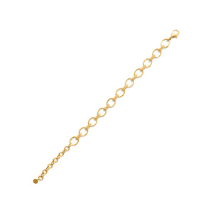 Cleopatra Small Link Bracelet in Hammered Gold