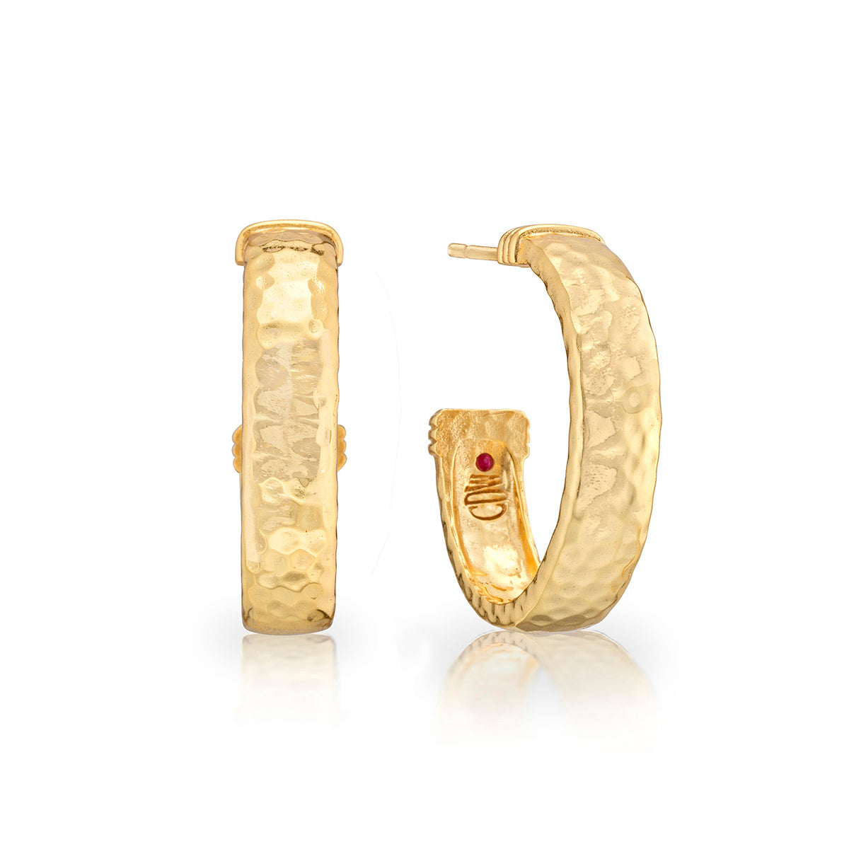 Cleopatra Classic Medium Hoop Earrings in Gold