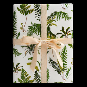 Les Fougeres Wrapping Paper In Document