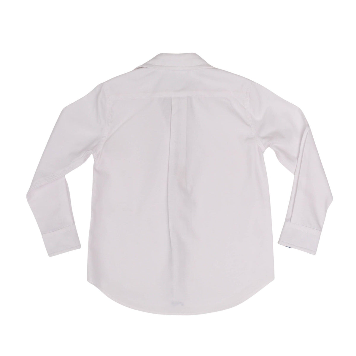 Brooks Button Down in Oxford White with Navy Gingham Trim