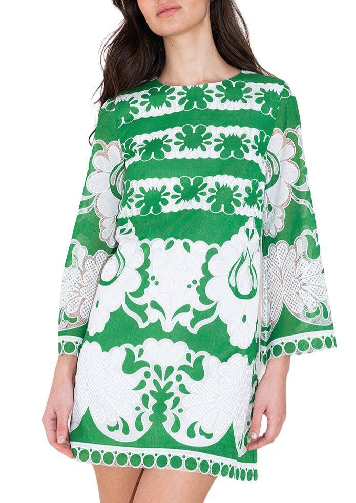 Stevie Burn Out Mini Dress in Green/White