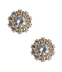 Amy Rhinestone Earring