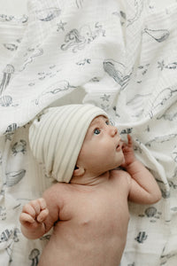 Swaddle in Life Aquatic