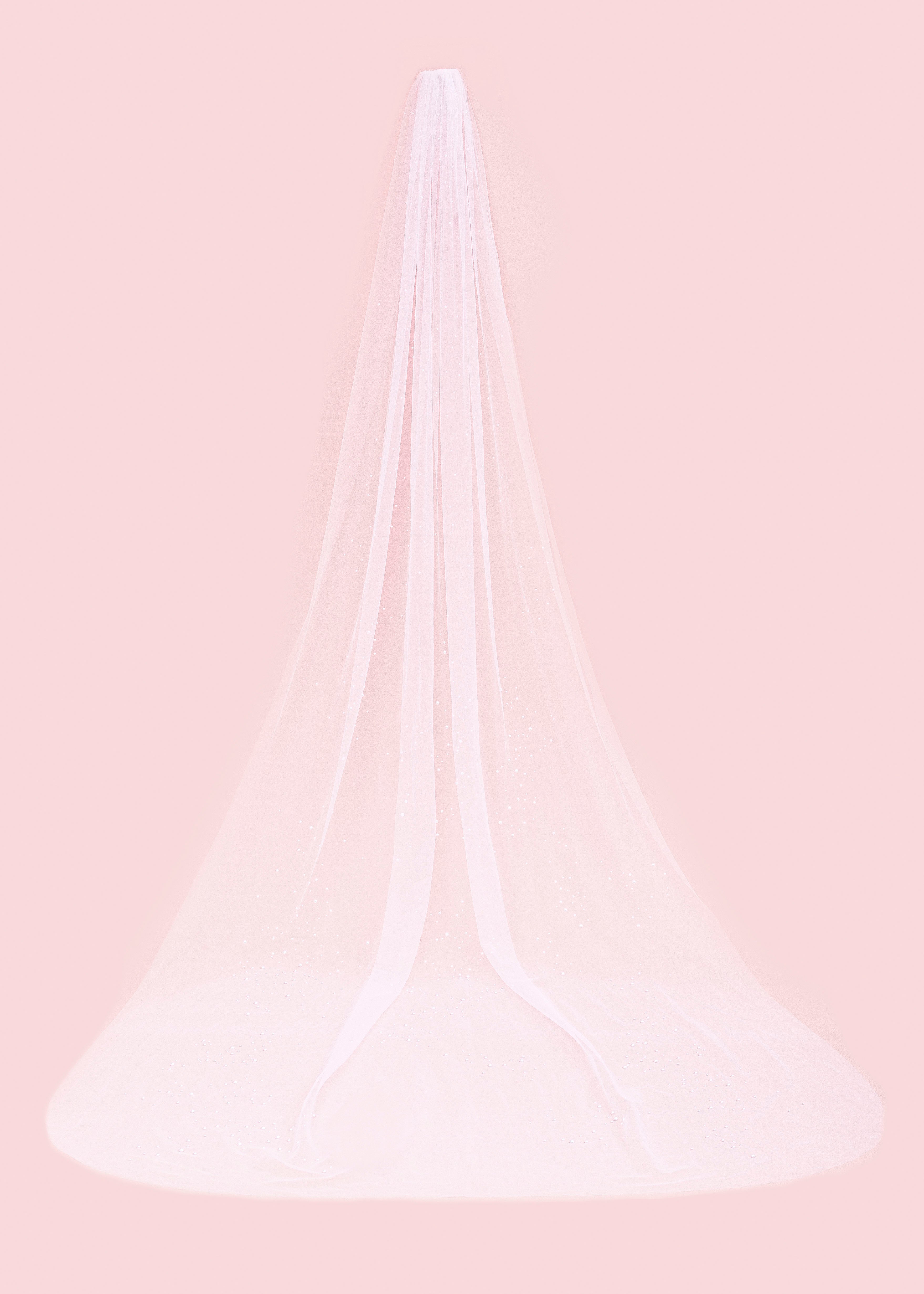 Siena Embellished Wedding Veil