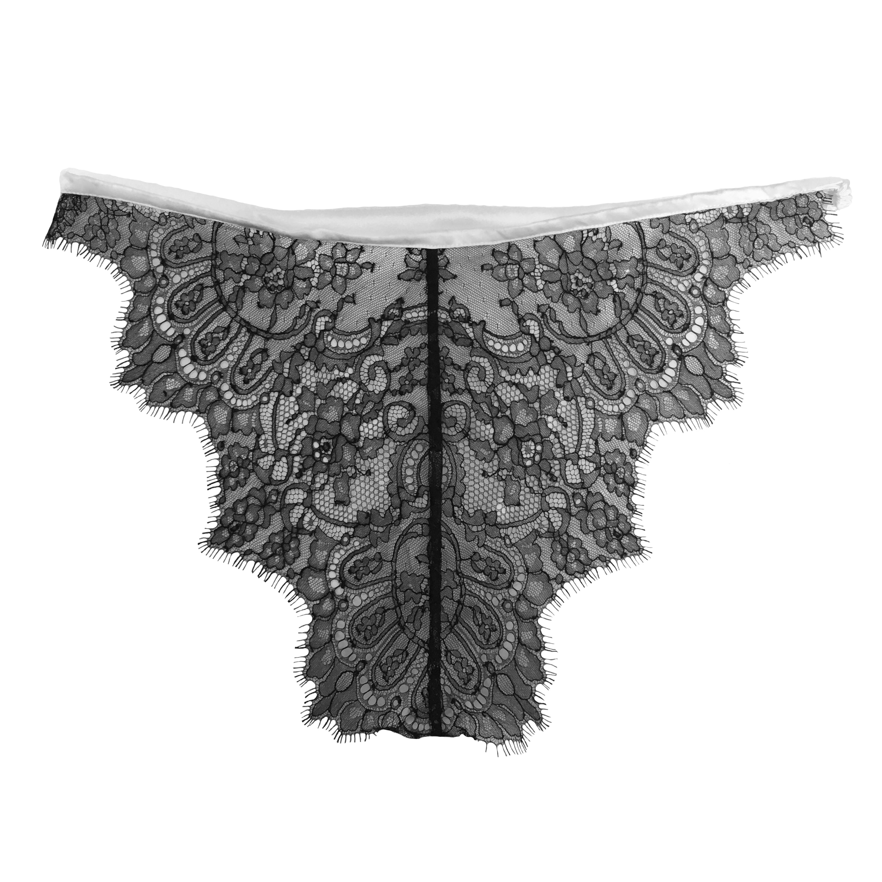 Caudry Lace Brief in Pearl Silk & Black