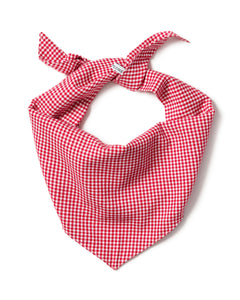 Red Mini Gingham Dog Bandana