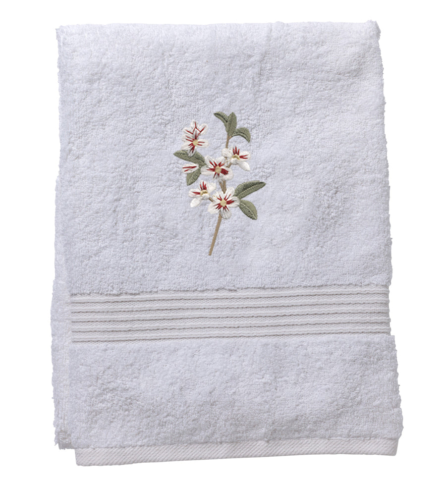 Terry Hand Towel