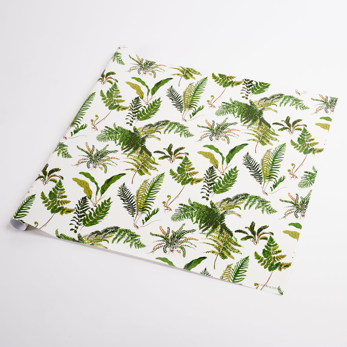 Les Fougeres Wrapping Paper In Document