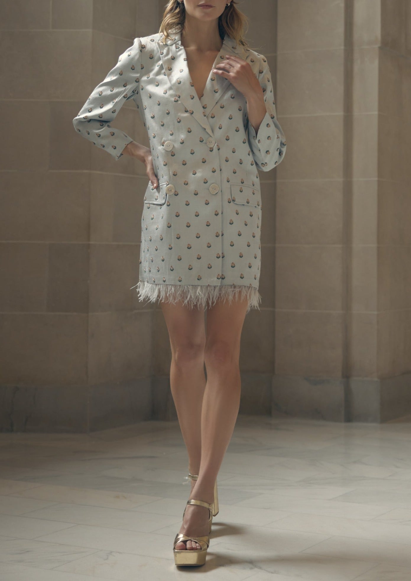 Alex Embroidered Blazer Dress