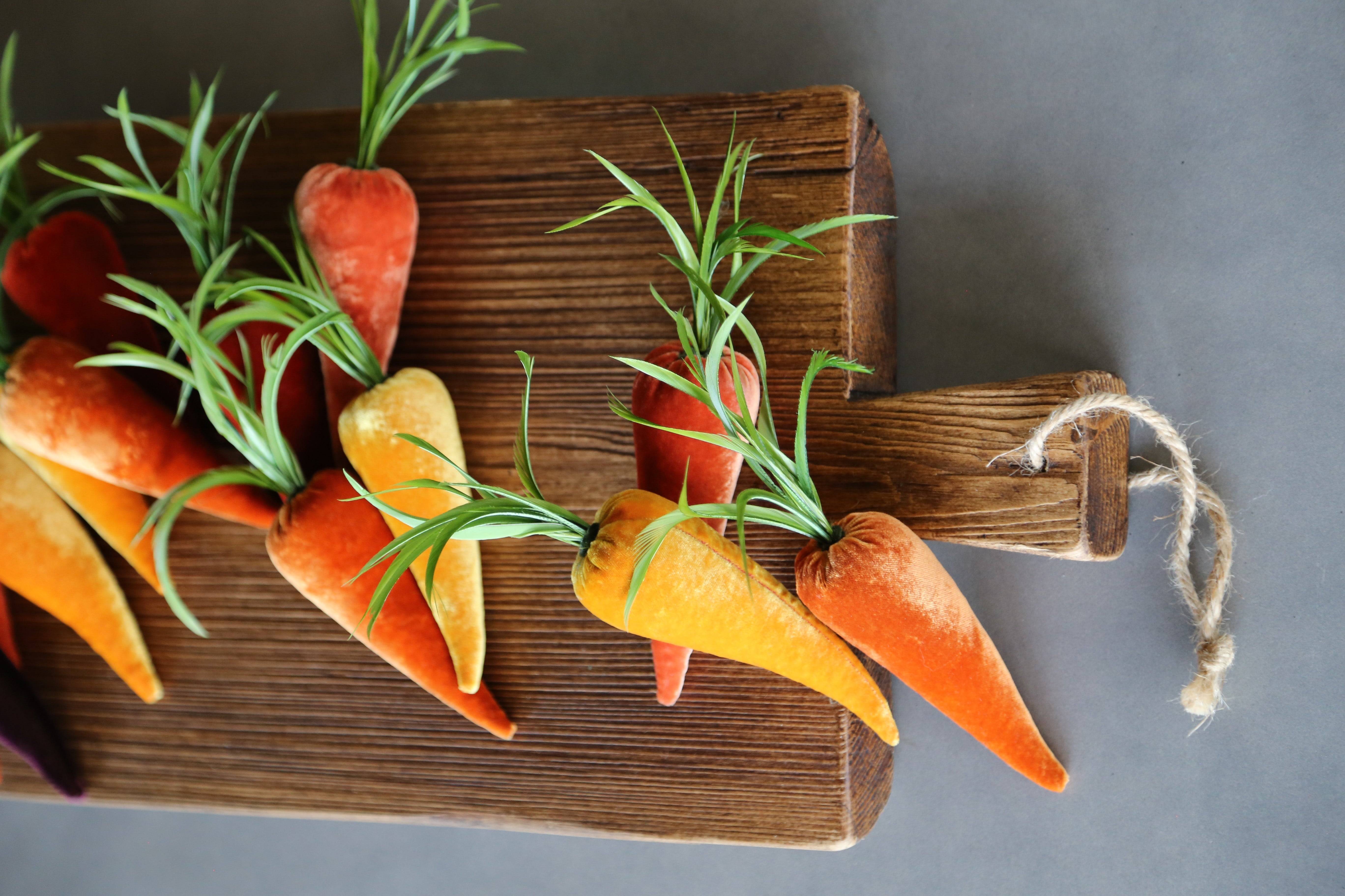 Carrot in Carrot