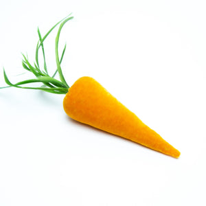 Carrot in Carrot