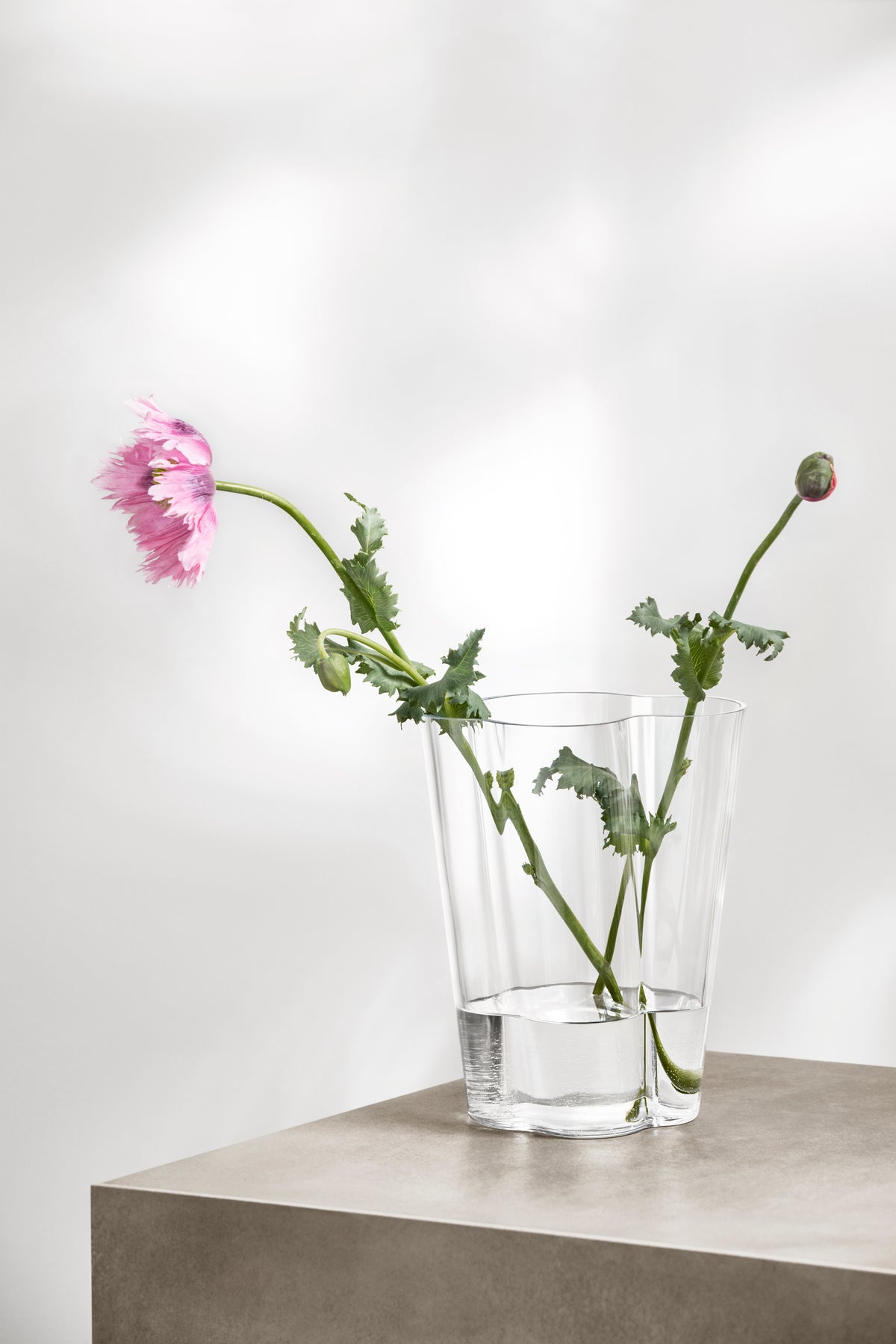 Aalto Vase in Clear