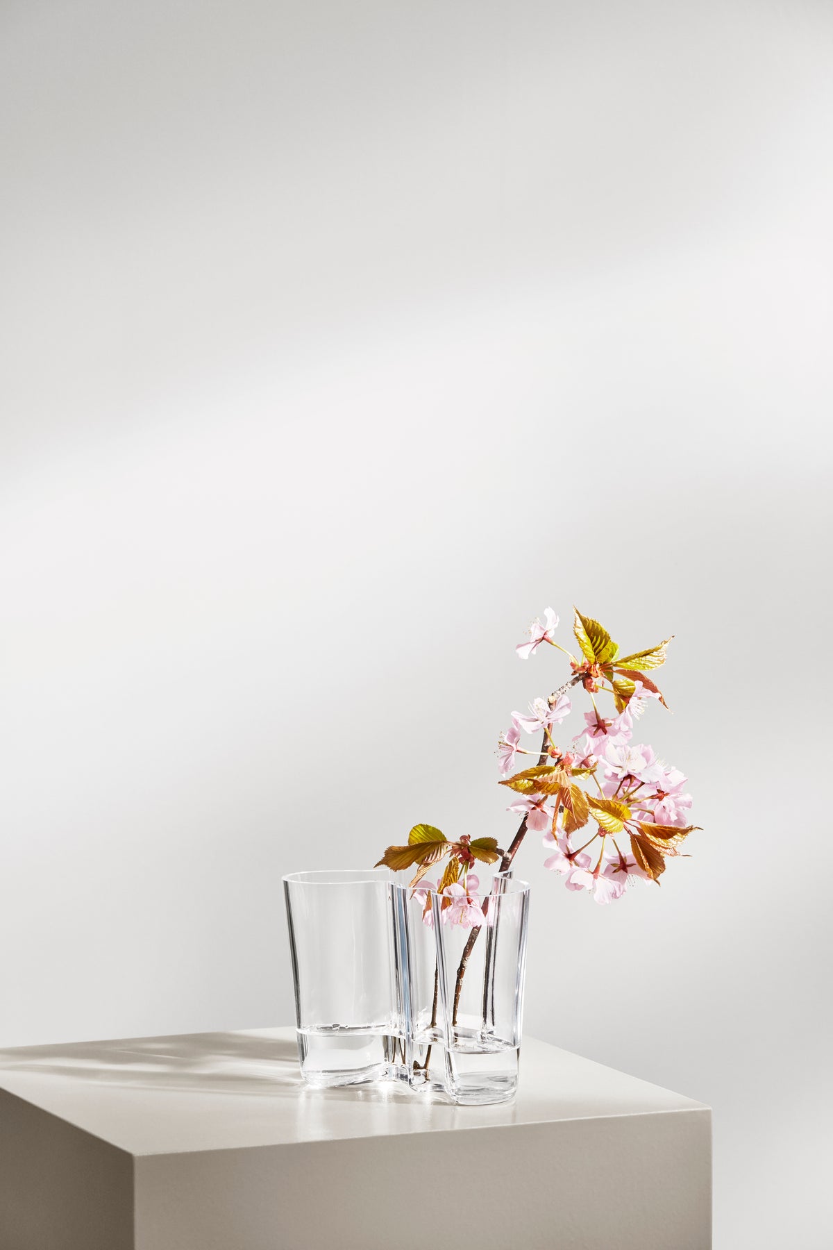 Aalto Vase in Clear