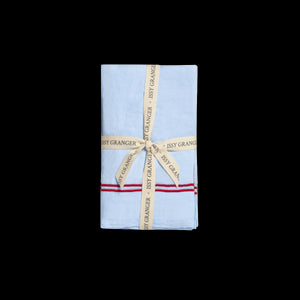 Double Piped Linen Napkins in Blue, Set of Four