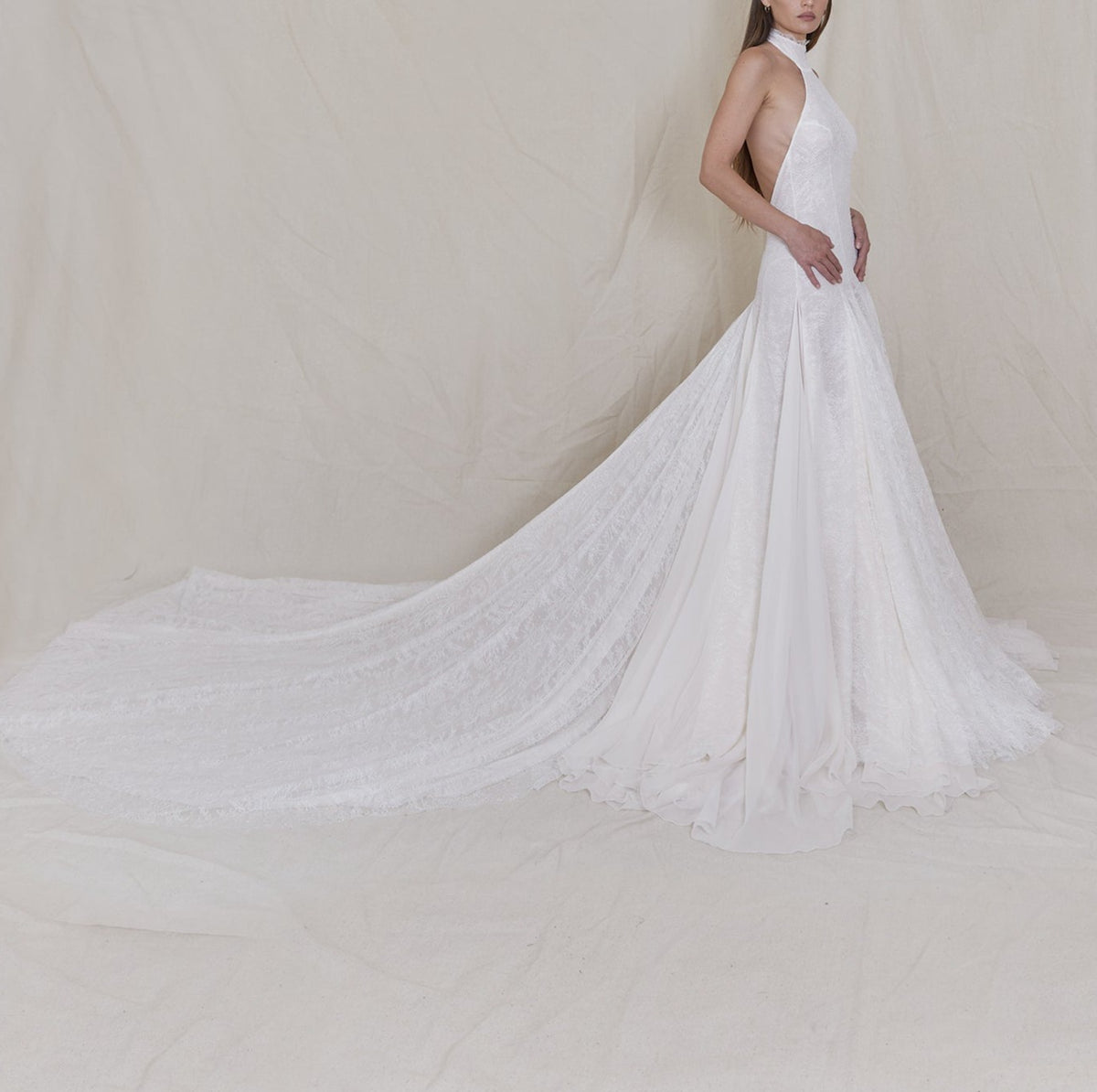 Diane Chantilly Lace and Silk Chiffon Gown