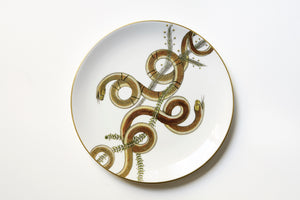 Serpentine Dinner Plate, Set of 6