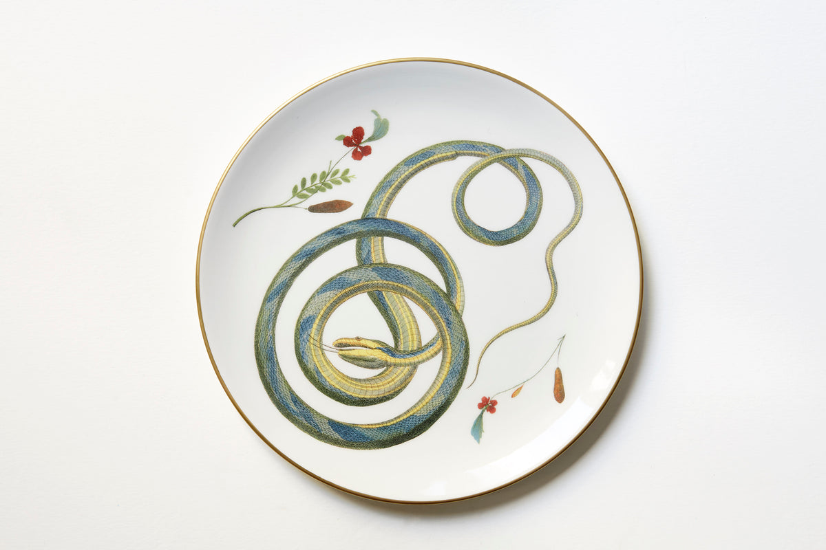 Serpentine Dinner Plate, Set of 6