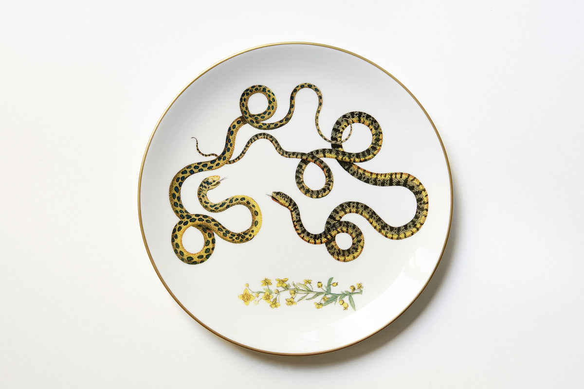 Serpentine Dinner Plate, Set of 6