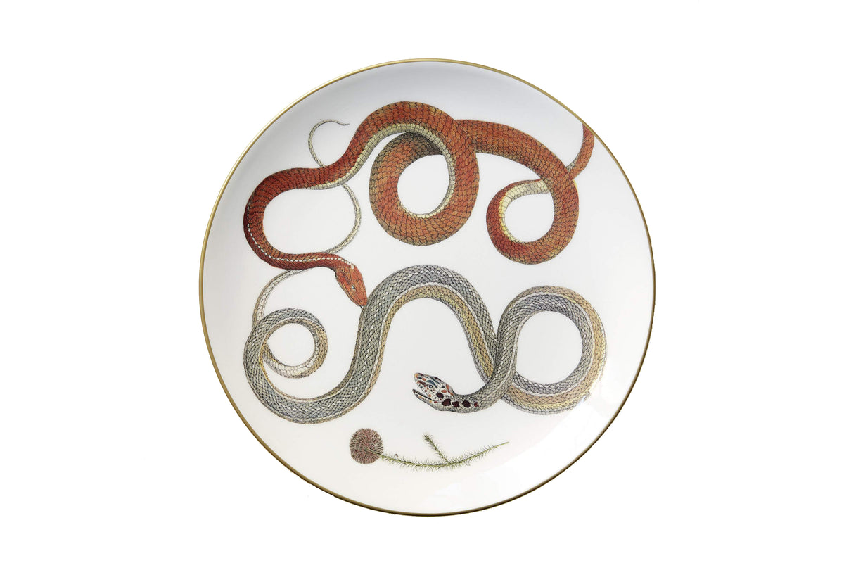 Serpentine Dinner Plate in Red Serpentines