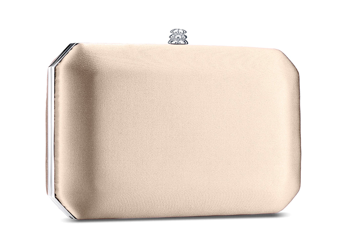 Lily Clutch in Champagne Bubble