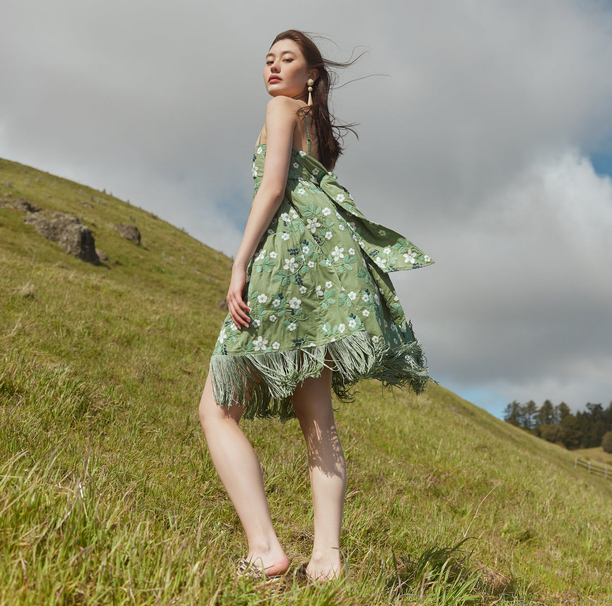 Gavin Embroidered Fringe Mini Dress in Eucalyptus Ivory Ditsy Floral