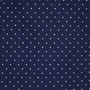 Navy Silk Polka Dot Tie