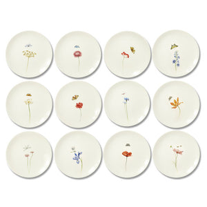 Bloom Plates, Set of 12