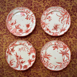 Rocaille White Dinner Plate