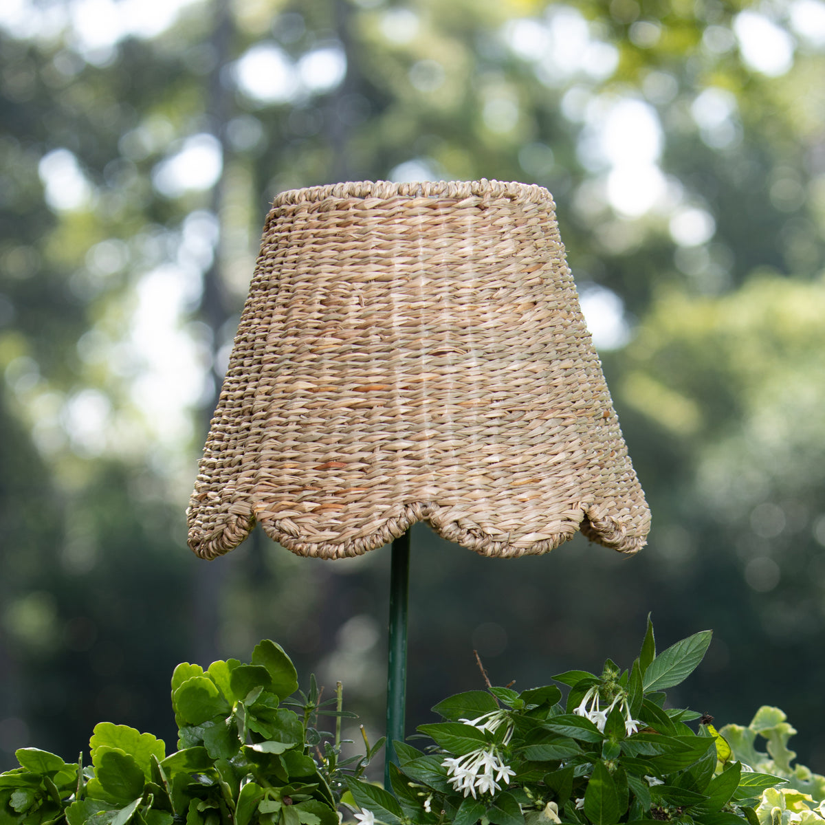 Scalloped Lampshade in Seagrass