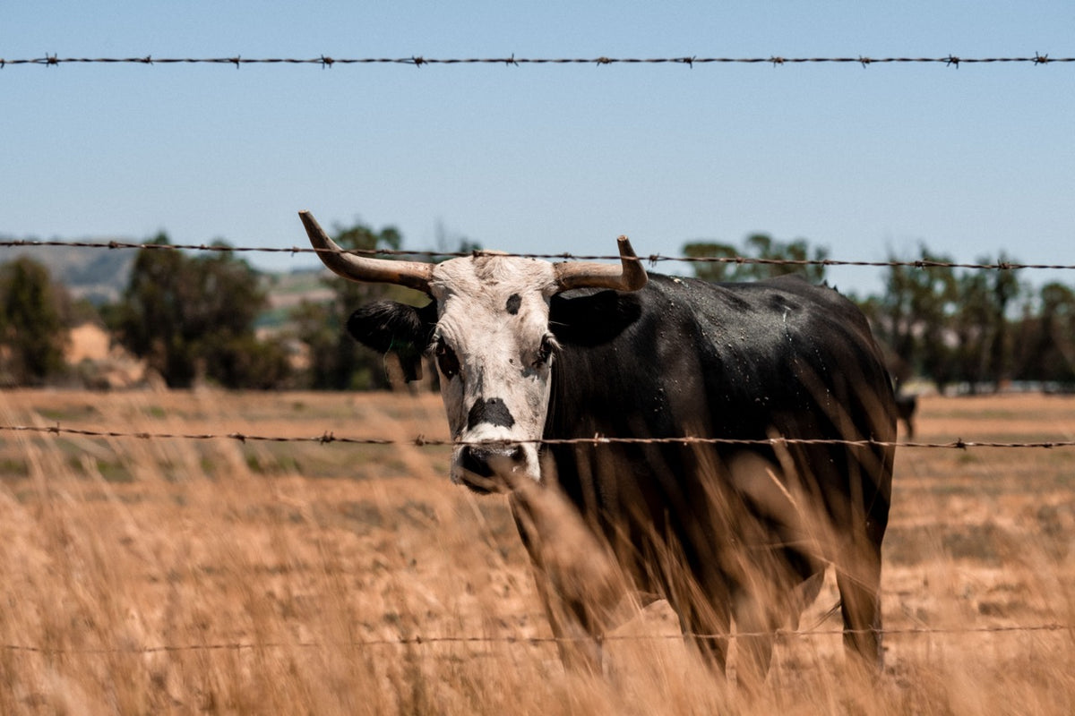 Stanly Ranch Napa, Luxury 5-Night Stay