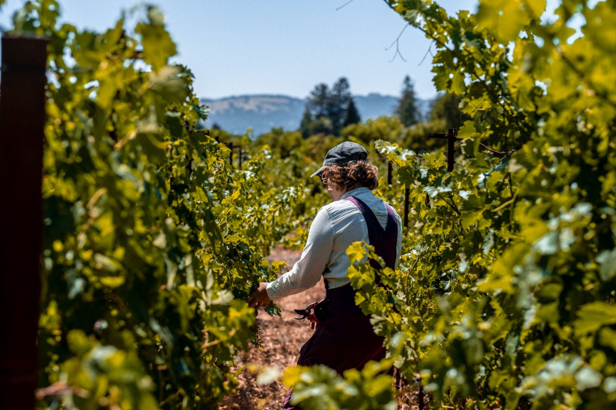 Stanly Ranch Napa, Luxury 5-Night Stay