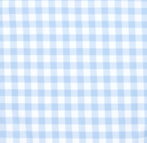 Boy's Oasis Blue Gingham Boardie