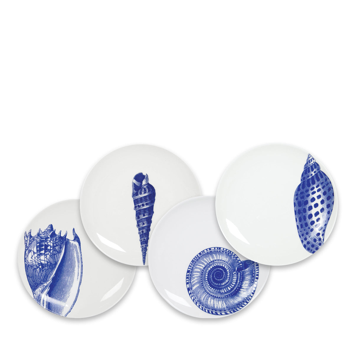 Shells Canapé Plates Boxed Set/4 - Caskata