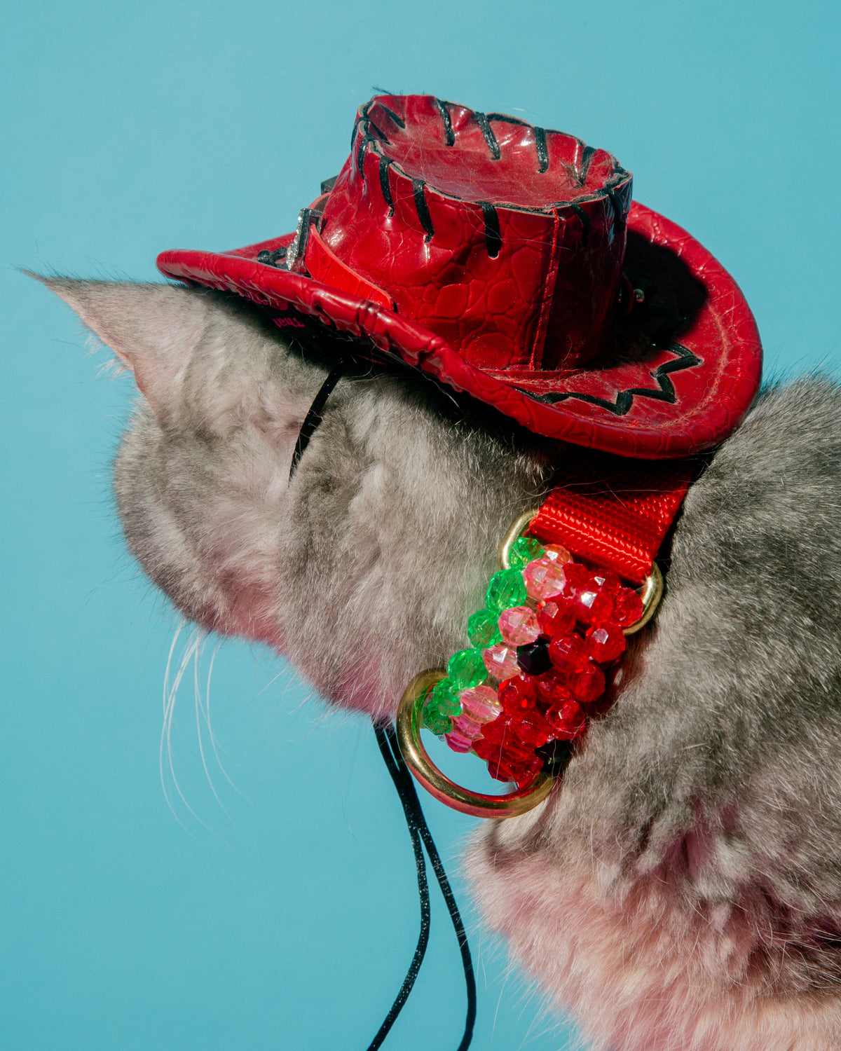 Watermelon Dog Collar