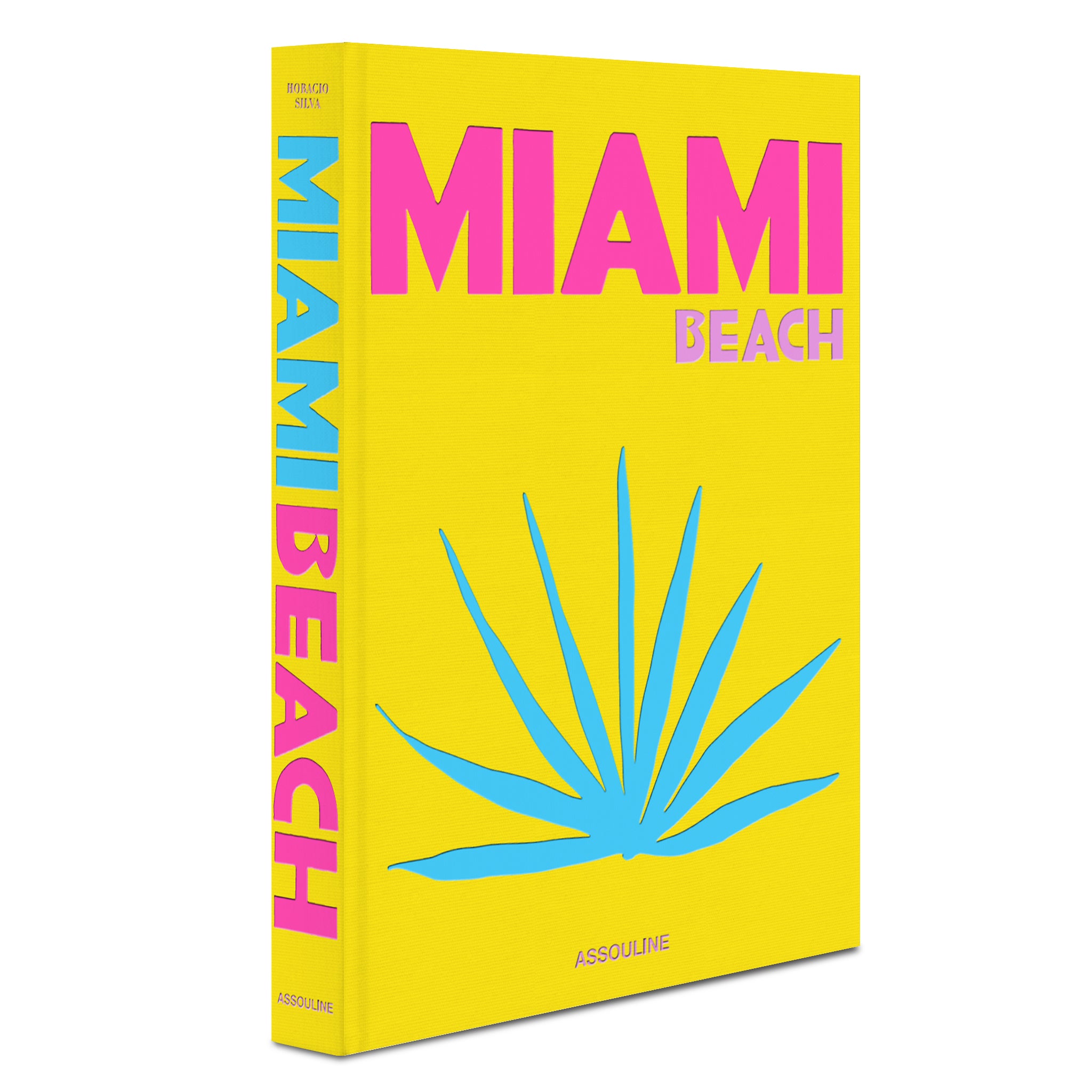 assouline on over the moon miami beach