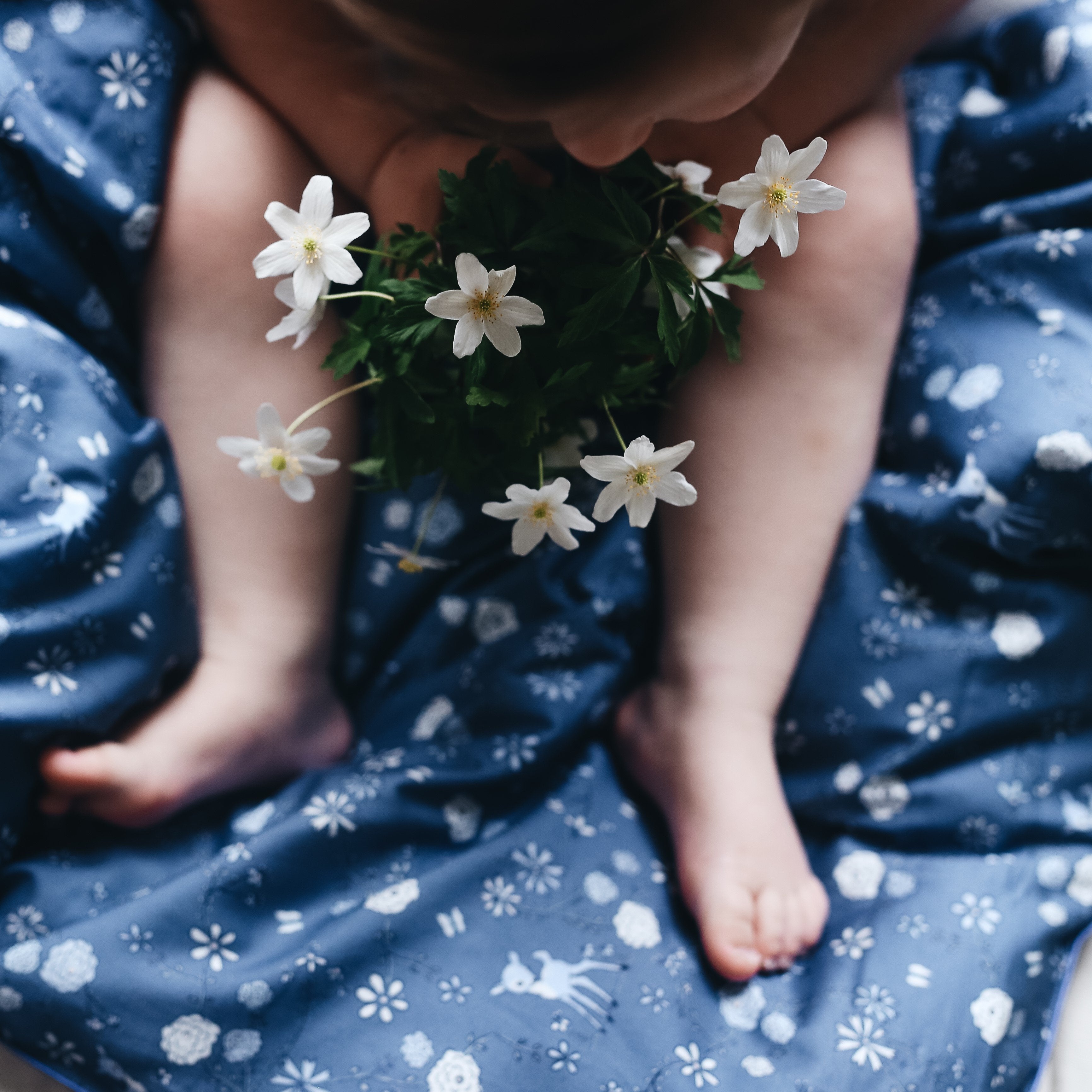 Into The Woodlands Baby Duvet in Blue